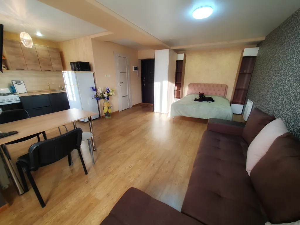 Апартаменты "Багира" рядом - СКАД, въезд в город, Р228, Протон, ДВВС