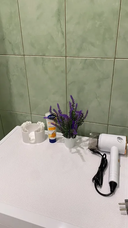 Квартира Квартира Уютная студия в 15 минутах от аэропорта — Шушары