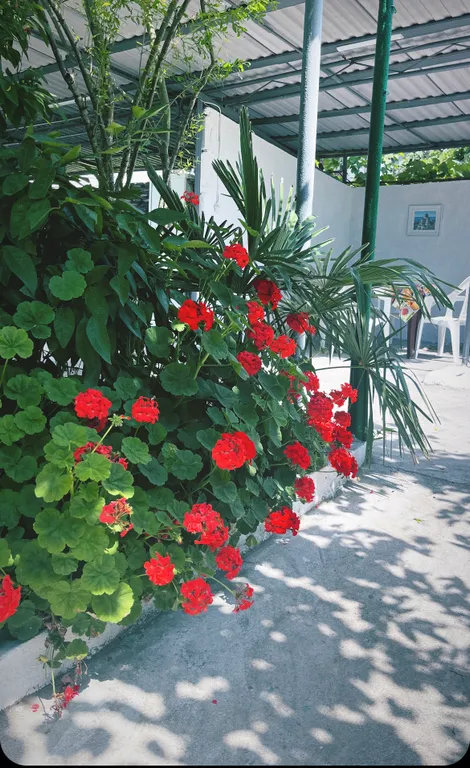 Квартира Комната — Гагра