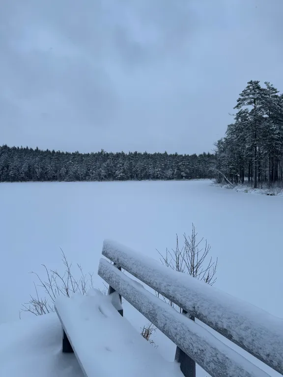 Дом в лесу рядом с озером