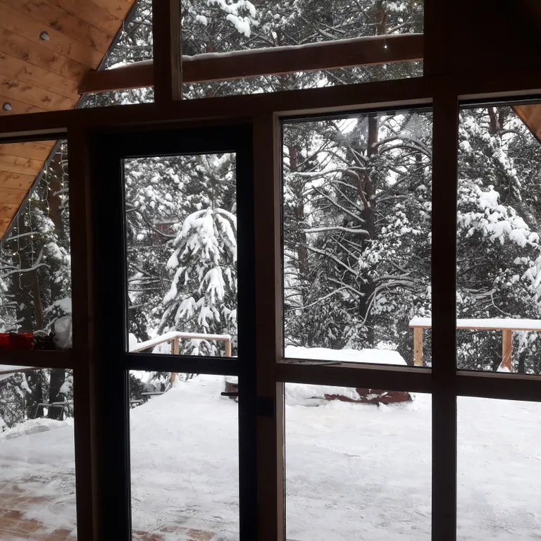 Уютный дом с баней и купелью в сосновом бору