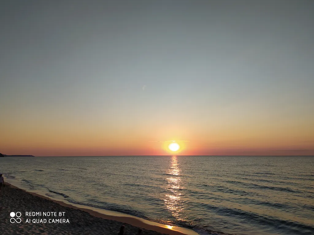 Квартира Уютная квартира с видом на лес — Светлогорск