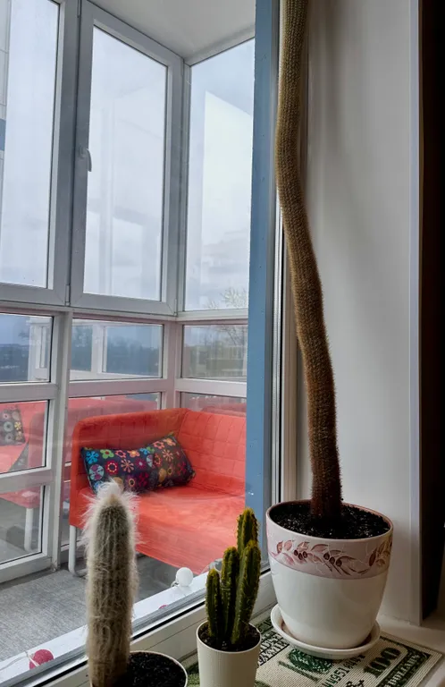 Квартира для комфорта