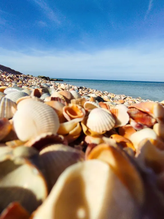 Номер улучшенный