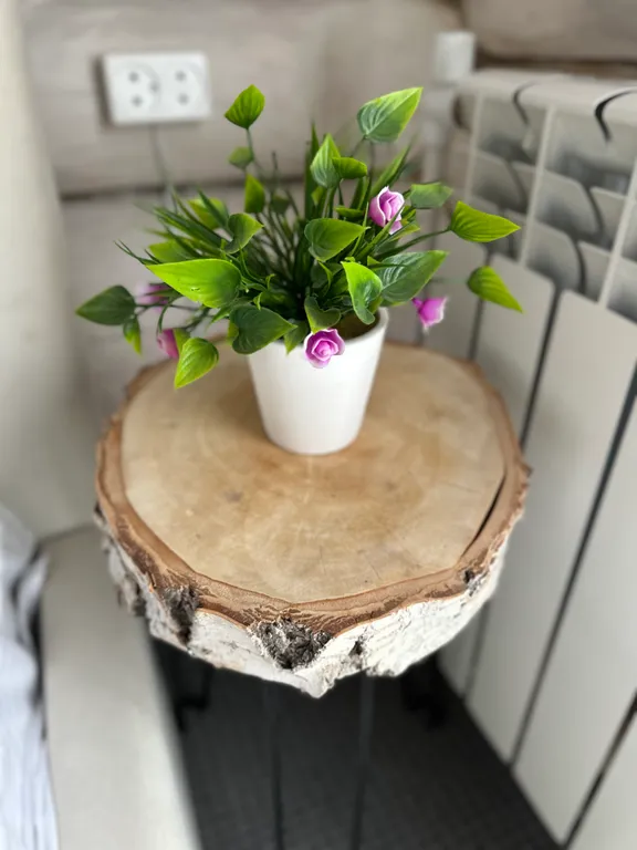 Гостевой дом с баней и чаном в Парковом