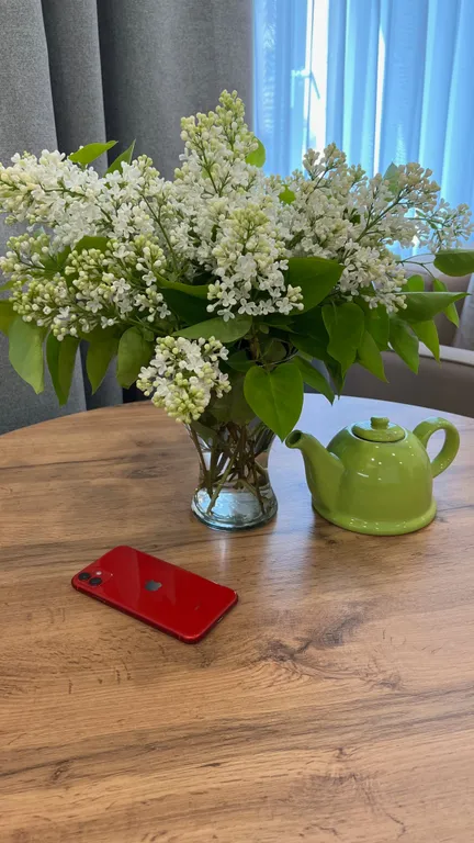 Апартамент лесная мята