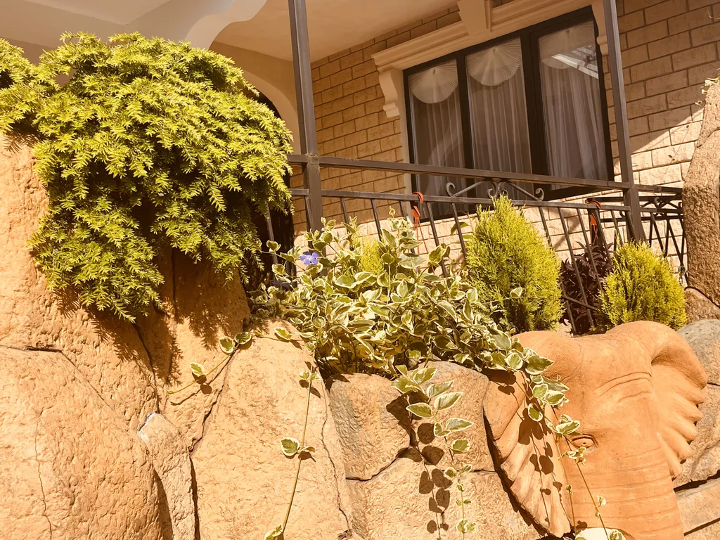 Двухместный стандарт