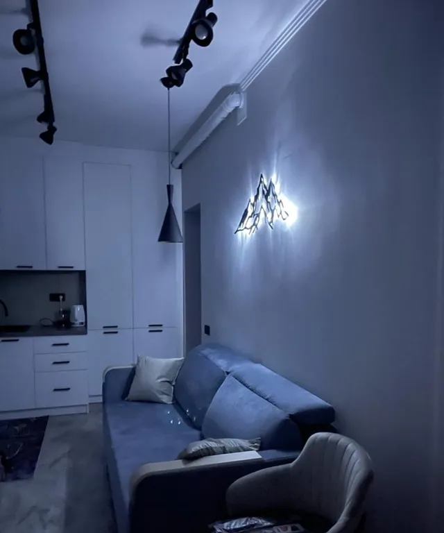 Вип апартаменты в центре города