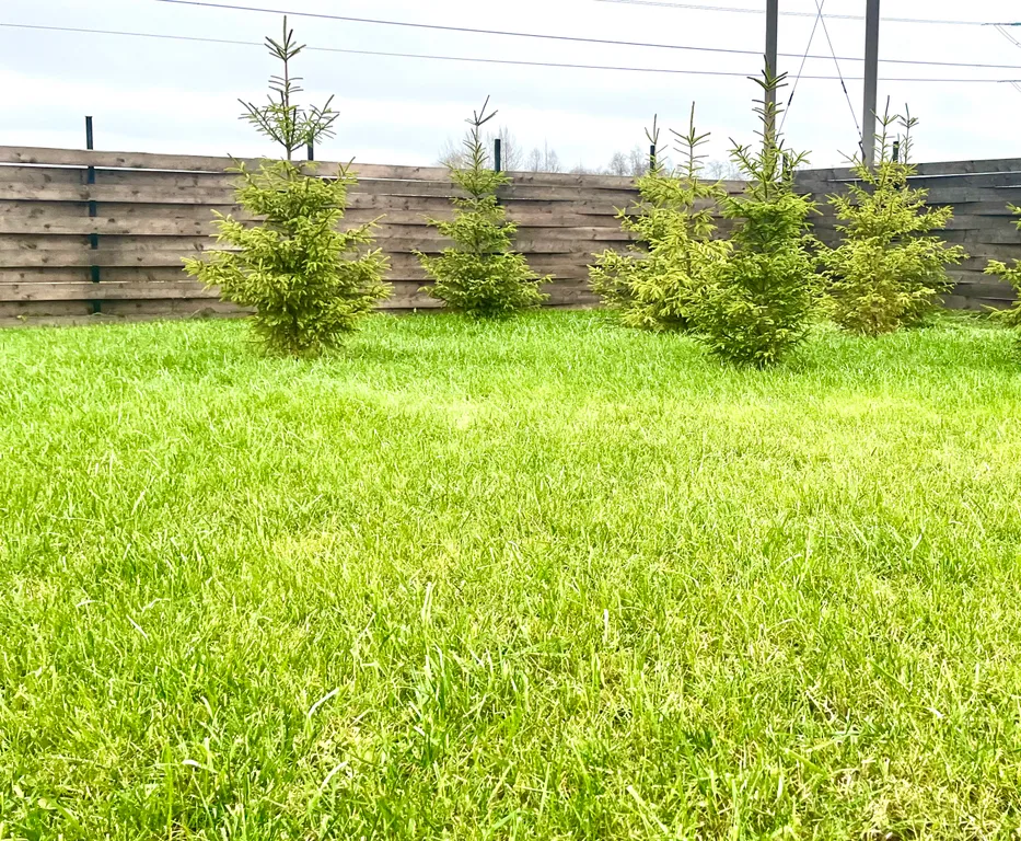 Коттедж Коттедж Можайский парк — Пушкин