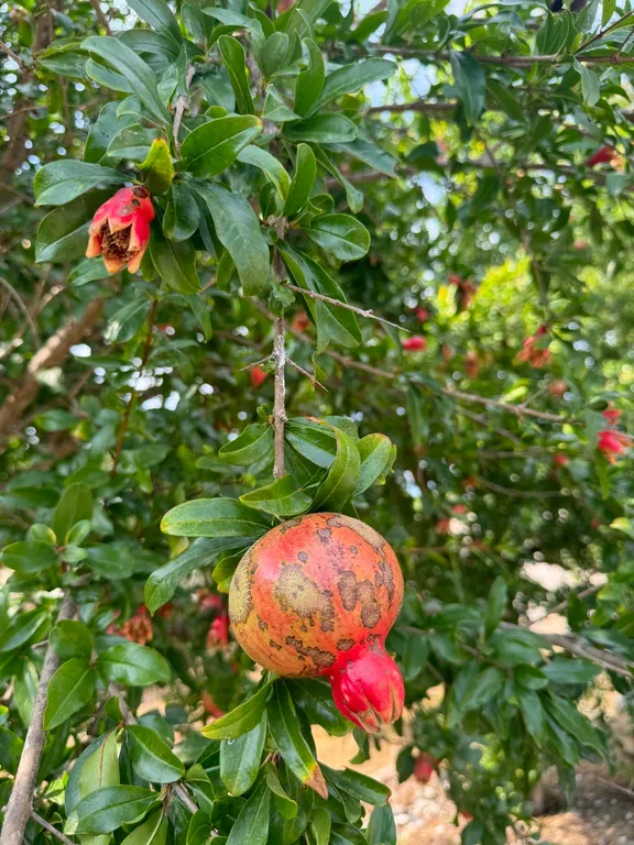 Уютный 2-х этажный коттедж в прекрасном саду