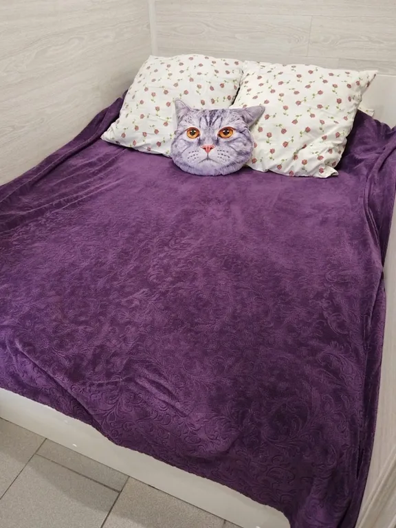 Квартира Квартира Гостевой дом " калинина 20 " номер люкс " 8н " — Ейск