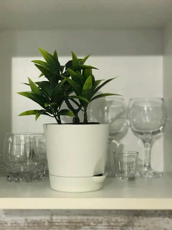 Апартаменты Магия