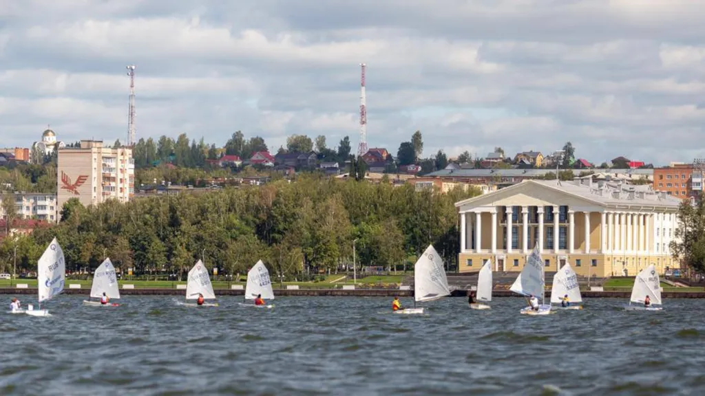 Уютная квартира рядом с сосновым бором Сила леса, парком, термами