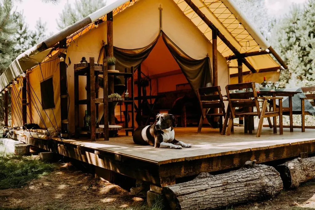 Уютная хижина в лесу у реки