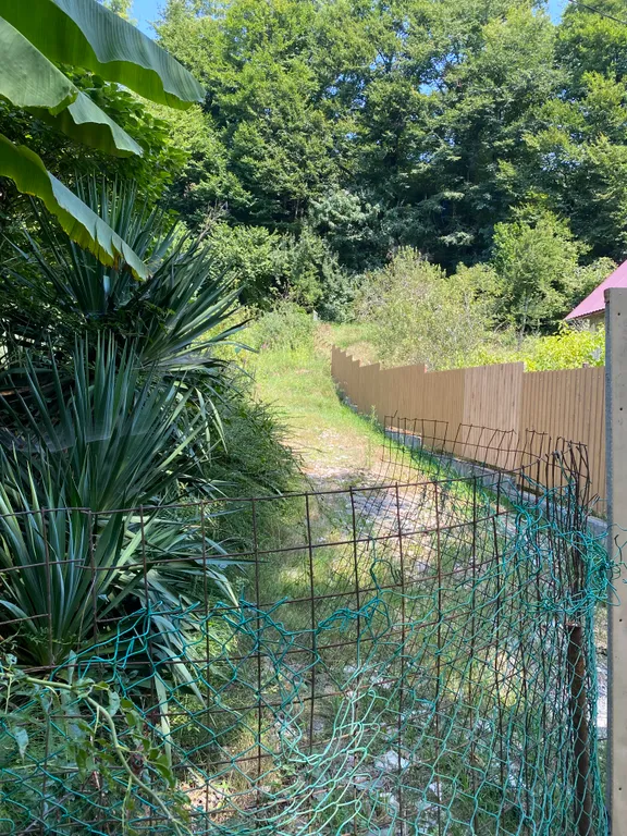 Коттедж Летний дом в зеленом окружении — Сочи