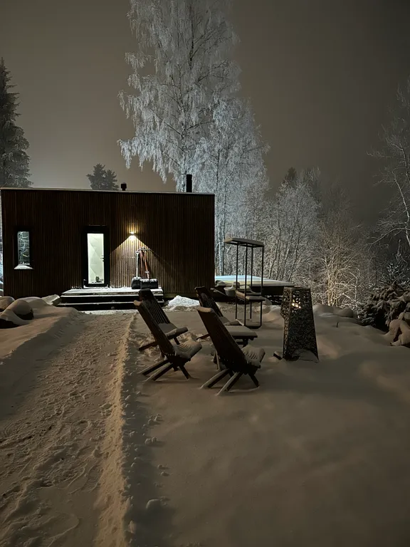 Коттедж Панорамный домик на склоне у Игоры — Орехово