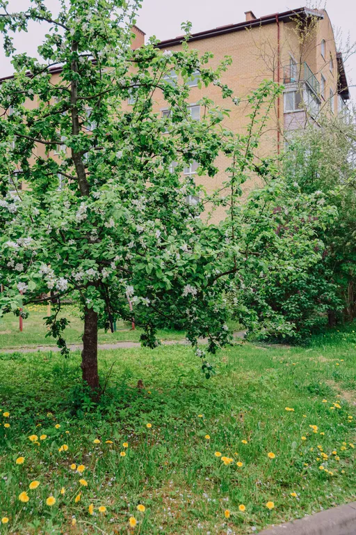 3 комнатный Апартамент Морской