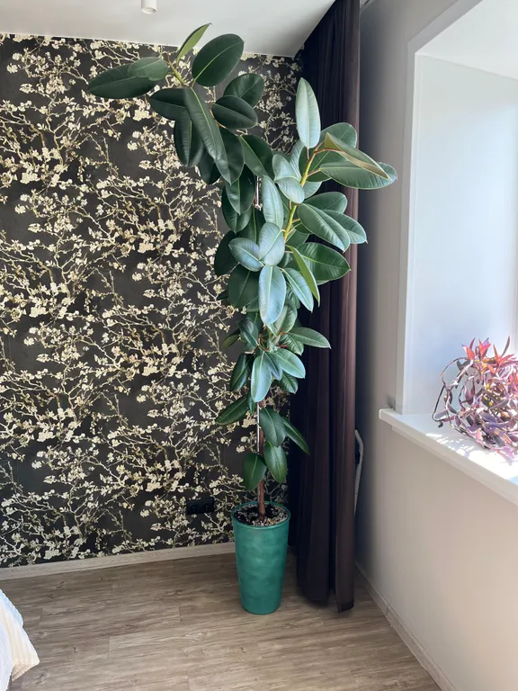 Квартира Квартира для вашего отдыха и проживания — Новосибирск