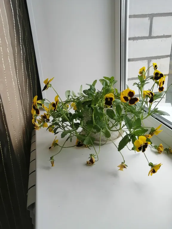 Квартира в 5 мин до набережной