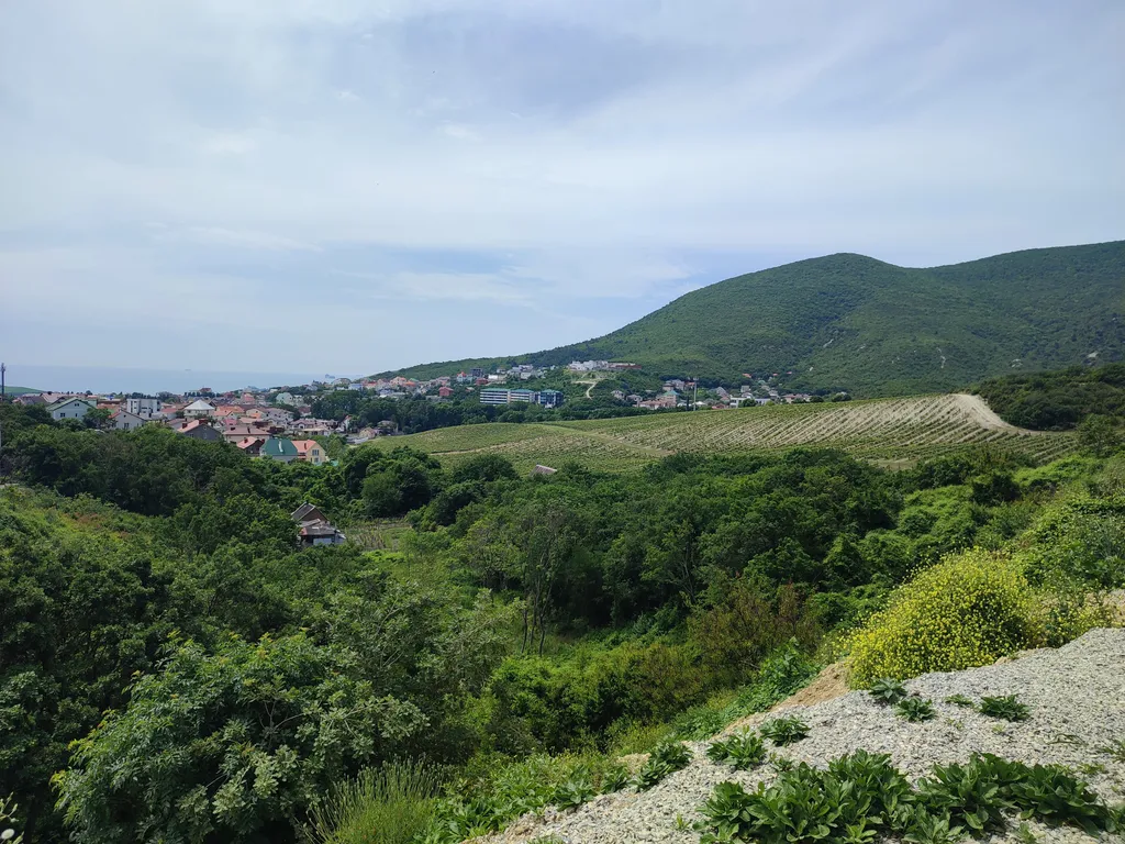 Уютная квартира у моря