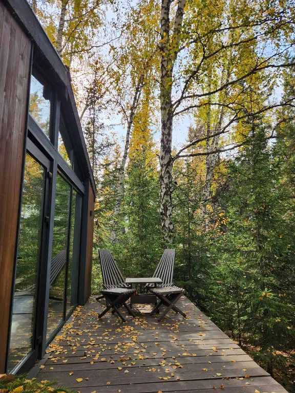 Дом с панорамным видом на лес