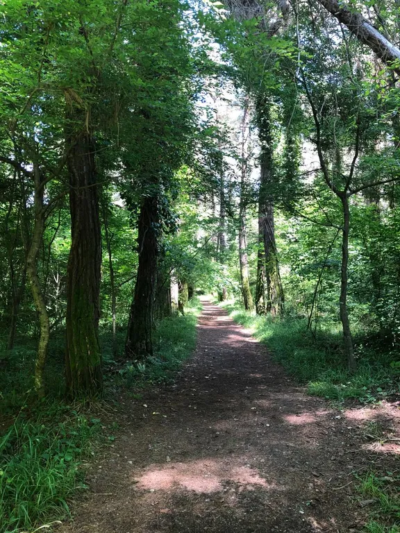 Уютная комната с удобствами