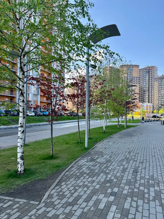 1-комнатная квартира с камином и двумя санузлами