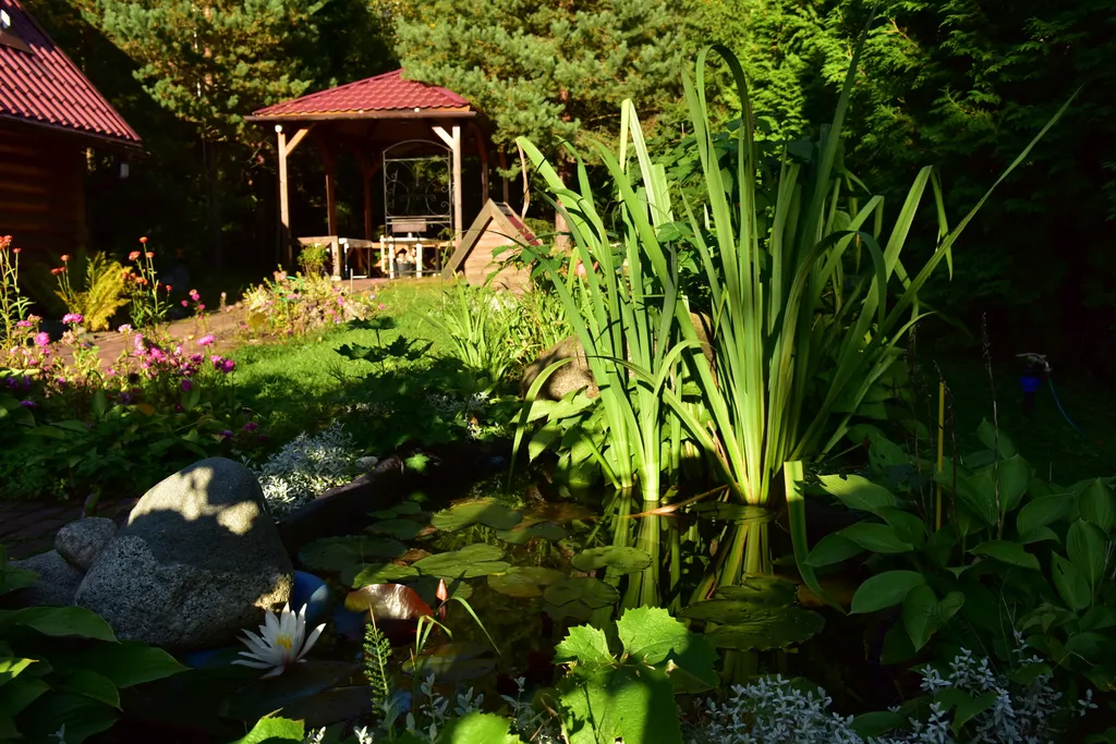 Коттедж Домик Коиви в Приморске — Приморск