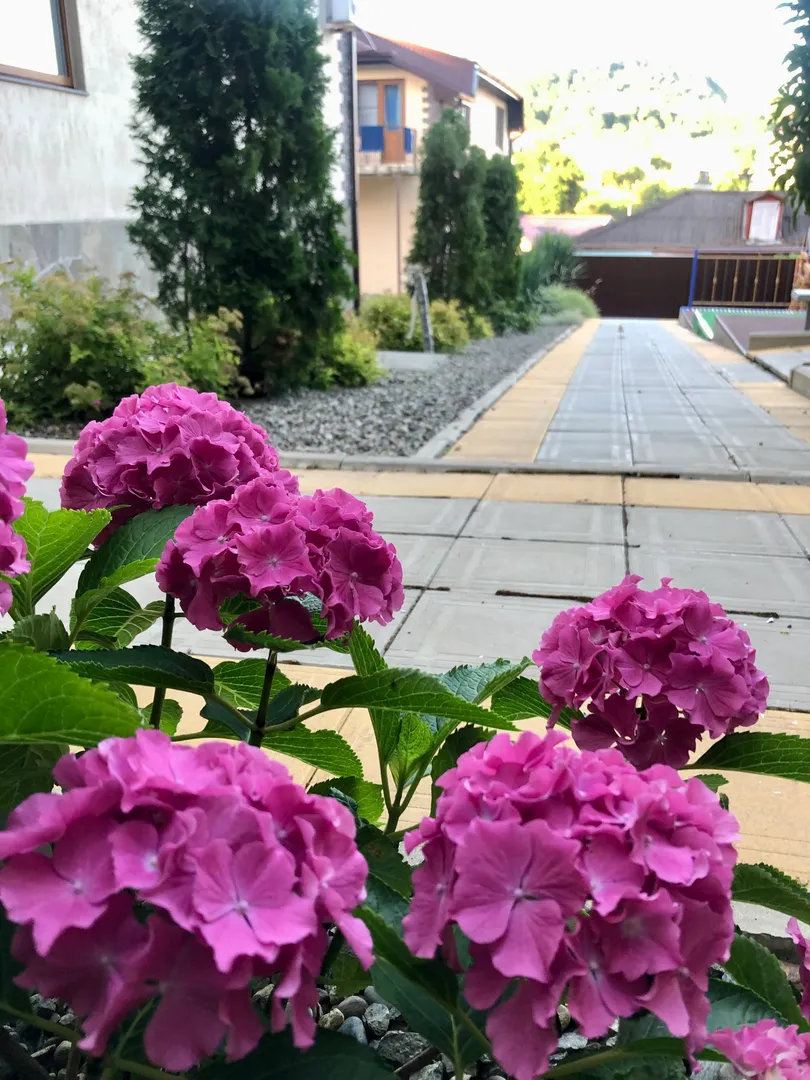 Фото