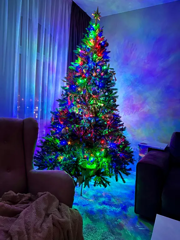 Апартамент в историческом доме с видом на стадион Калининград и закат