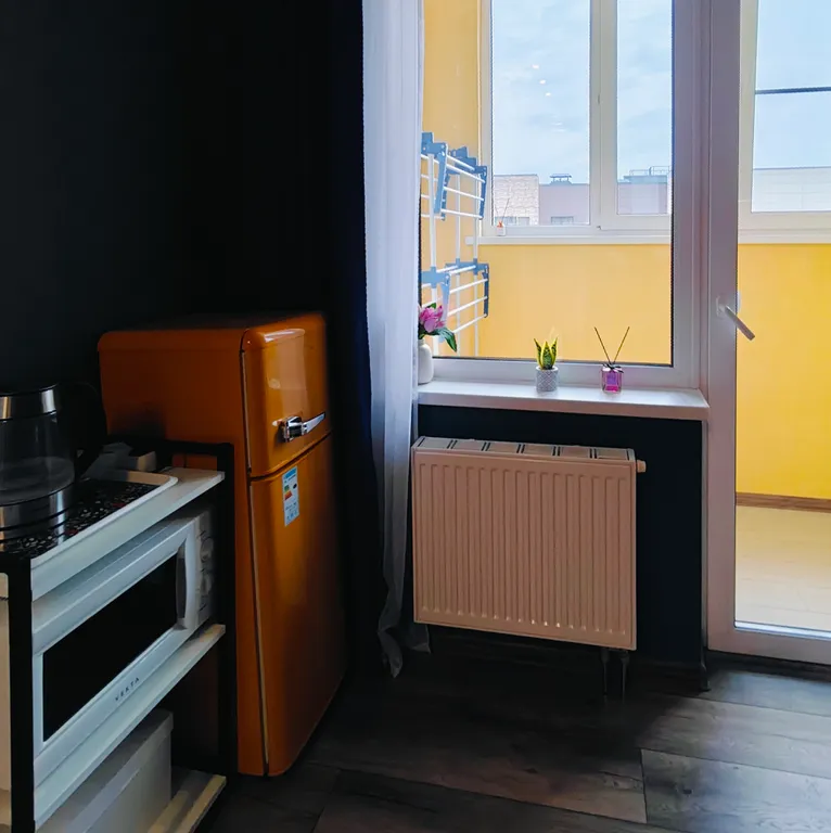 Уютная однокомнатная квартира