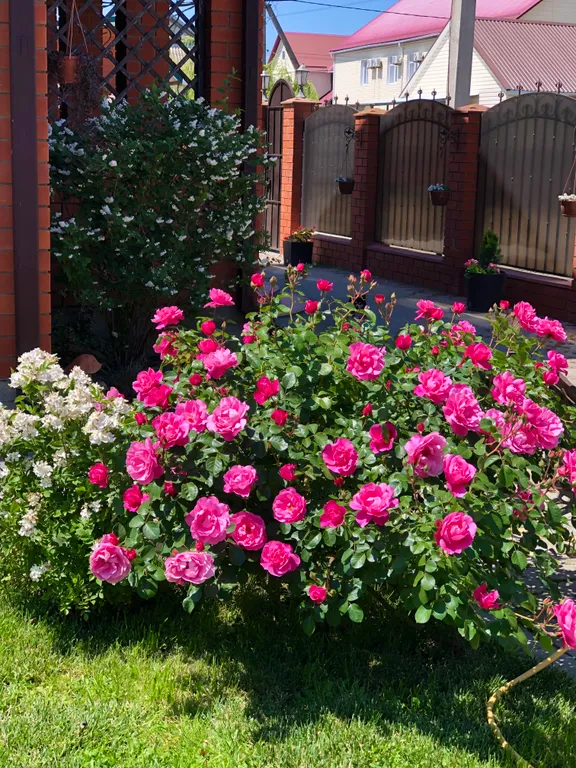 Уютная квартира  на берегу Азовского моря