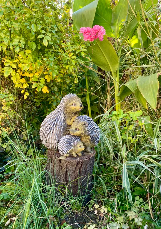 Комната с видом на море