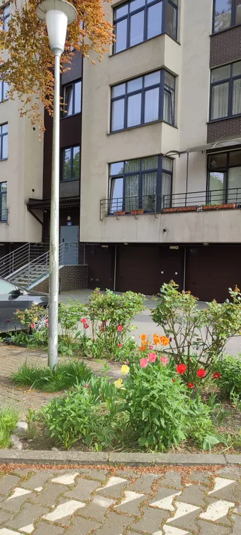 Квартира Квартира В гости к Эмме — Светлогорск