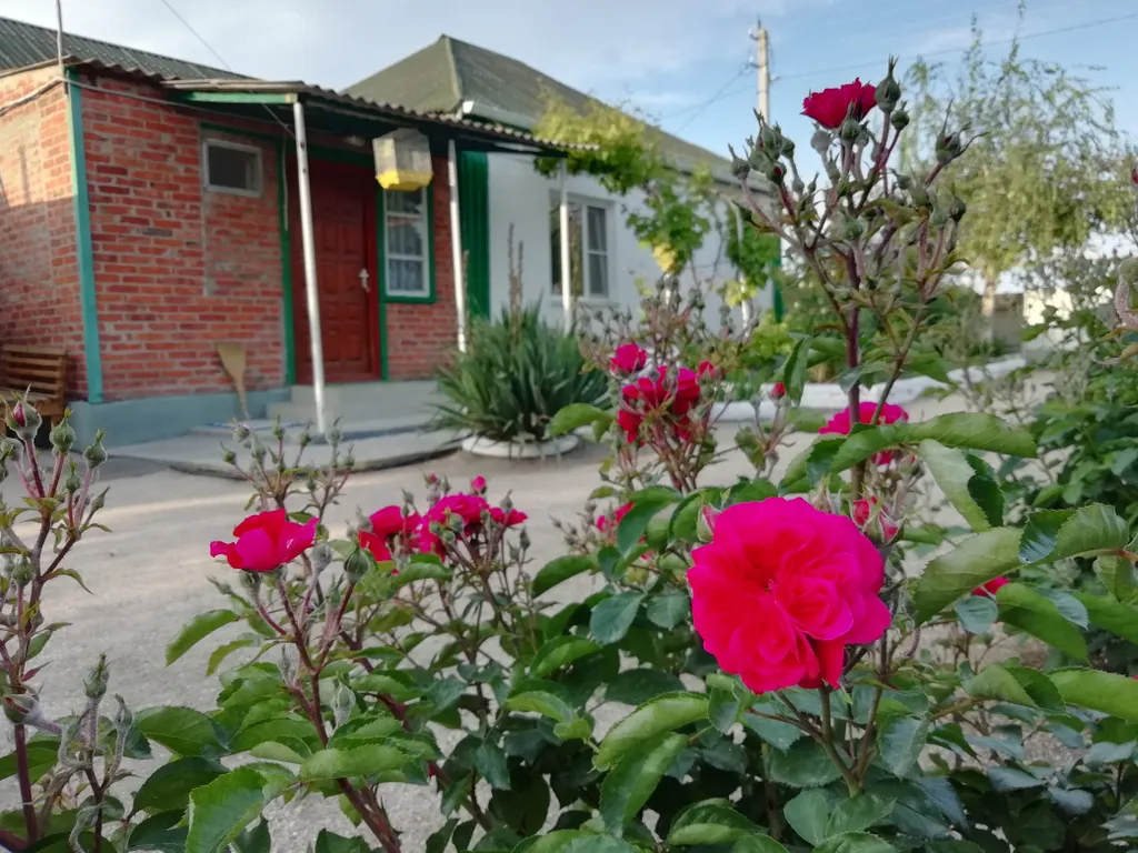 Коттедж Уютный дом в зеленом дворе — аренда посуточно в Должанская