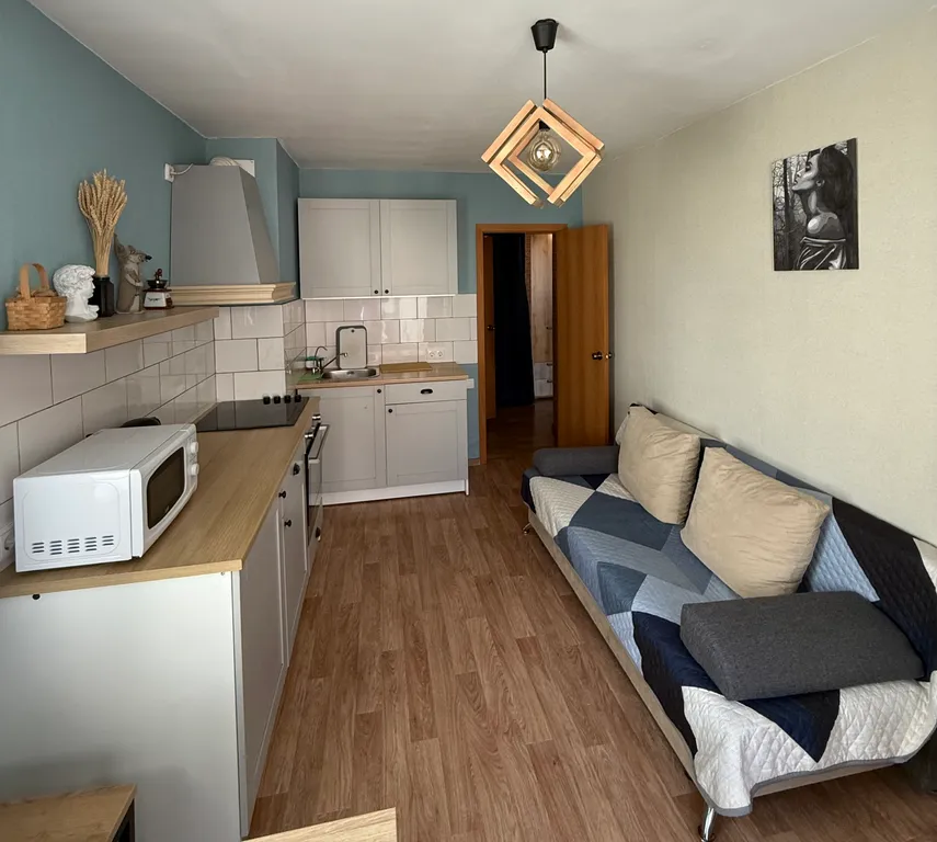 Уютная ГОСТИНАЯ+СПАЛЬНЯ с кондиционером!