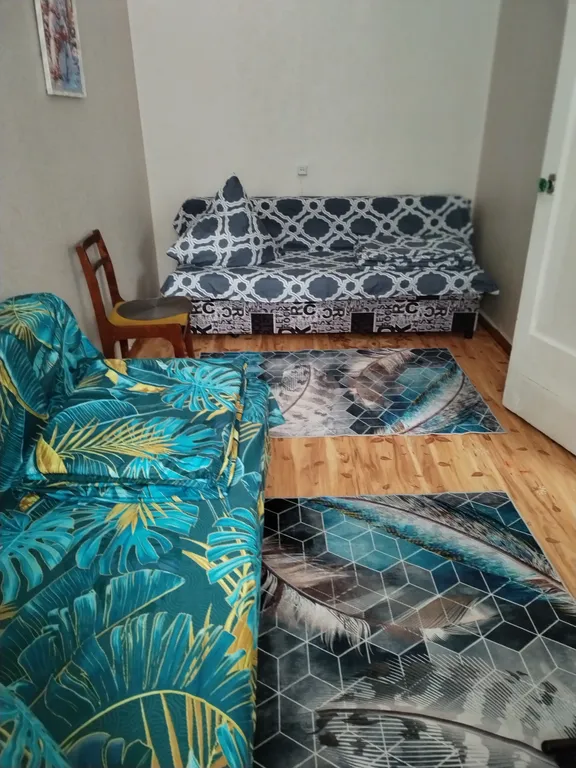 Двухкомнатная квартира с 4 диванами на Ушакова