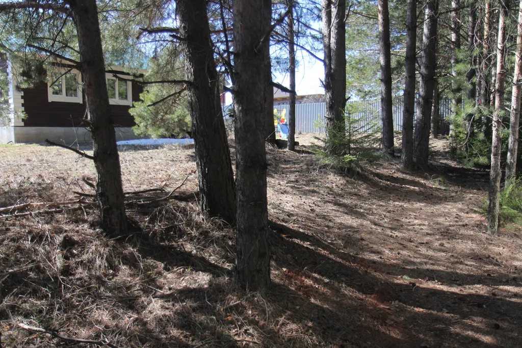 «Дом счастья», Киров