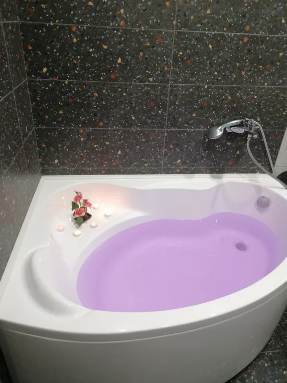 Современная студия с огромной ванной