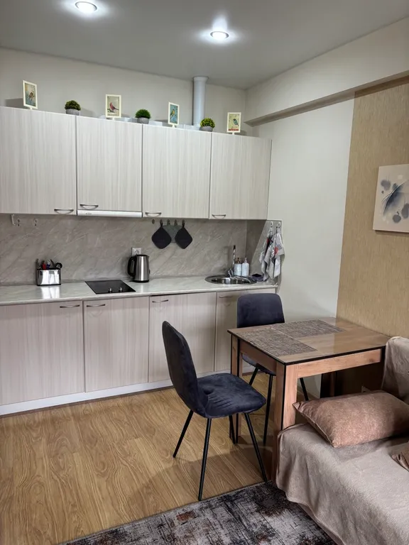 Уютная квартира-студия на самом берегу Черного моря в элитном ЖК — аренда посуточно в Дагомыс