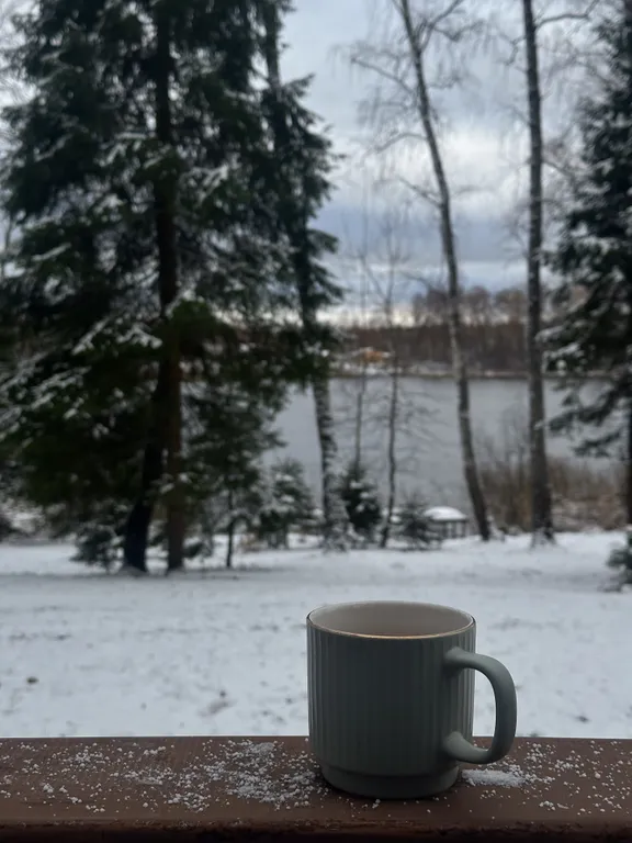 Дом на семью или компанию в лесу у большой воды