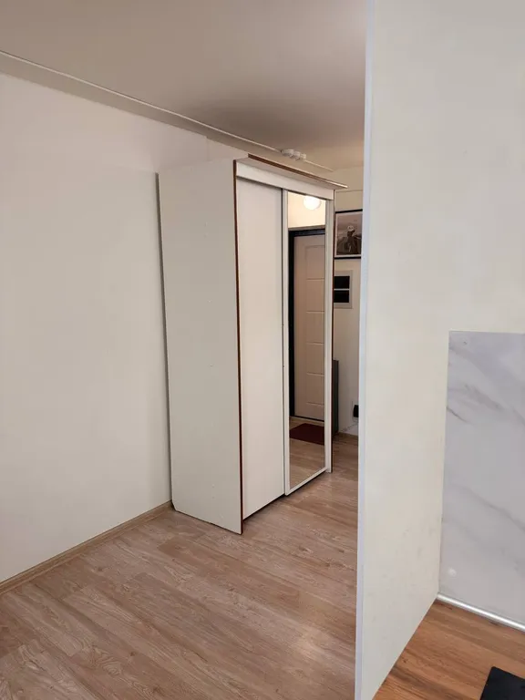 Уютная студия Рощинская 26 с видом на пруд