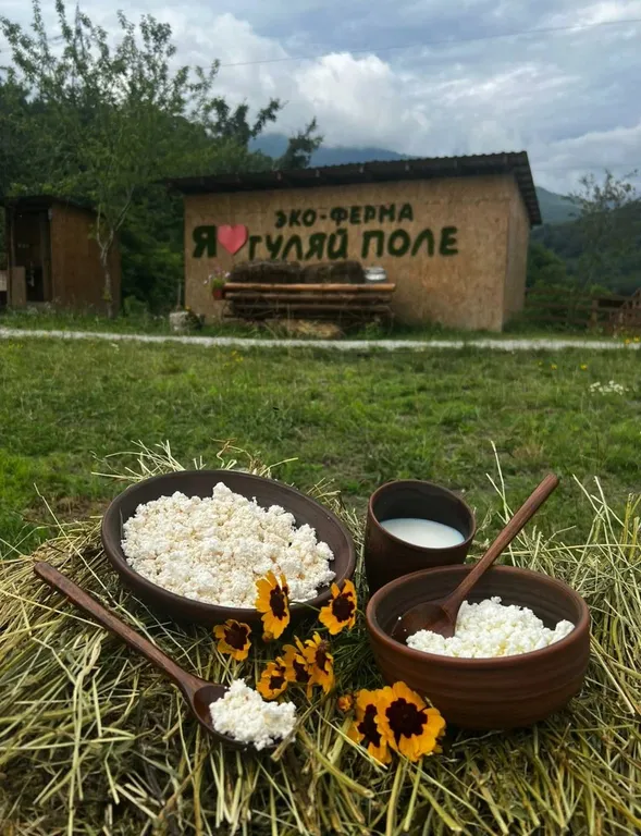 Большой домик в глэмпинге эко-ферма Гуляй поле