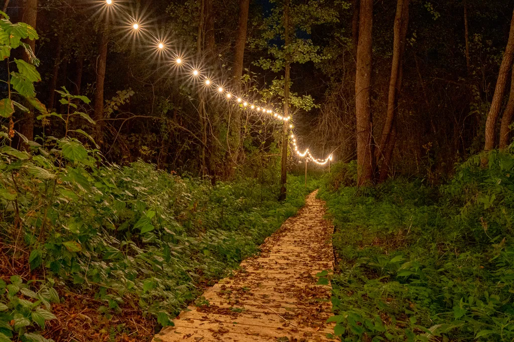 Дом Барнхаус