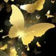 Ap'hotel butterfly