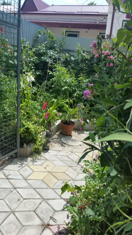 Гнёздышко на троих