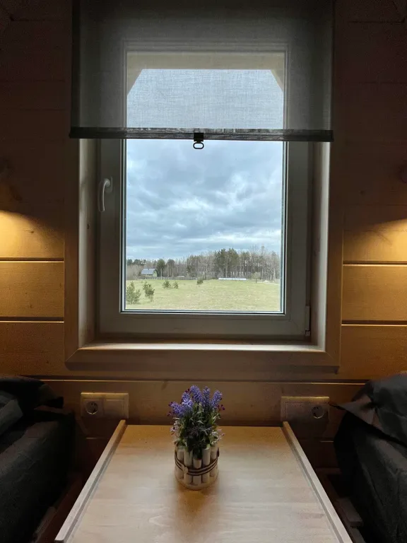 Коттедж Уютный дом аттик А-фрейм у Снетковского озера — Ларионово