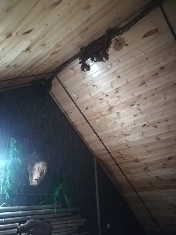 Дом у пруда