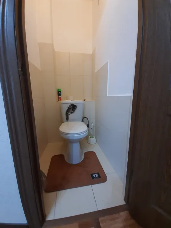 Уютная чистая квартира в тихом районе рядом с лесным массивом