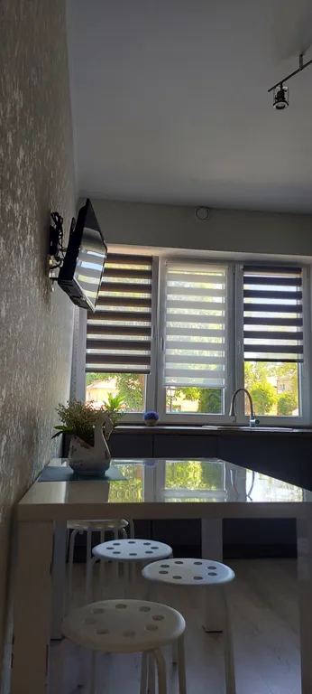 Квартира Стильные апартаменты на первой линии Балтийского моря — Пионерский